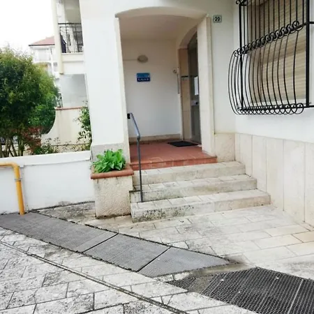 Ariazzurra S. Bart. *