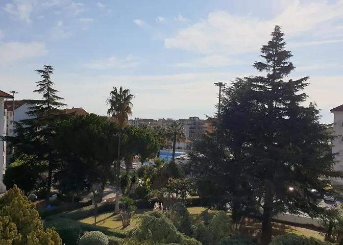 Ariazzurra S. Bart. *
